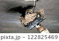 巣の中のツバメの雛と親鳥の餌やり 122825469