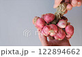 Hands holding a bundle of fresh red shallots tied with dried straw. A symbol of traditional farming, organic produce 122894662