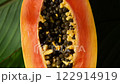 Vibrant slice of juicy papaya fruit, capturing its bright orange colors and natural texture. Perfect for food and health content, this papaya fruit radiates tropical beauty. 122914919