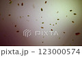 Animation of dead leaves falling in the sky with a worn out effect 123000574