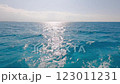 A boat is calmly floating on top of a large body of water today 123011231