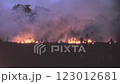 Raging Field Fire with Thick Smoke, Rural Australia, 1960s-1970s 123012681