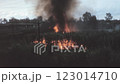 Queensland Australia Field Fire Vintage Historic Stock Footage 123014710