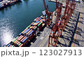 port, containers, cranes 123027913