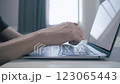 Man holding credit card while using laptop, shopping online, buying on internet. 123065443