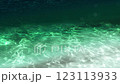 in the sea, water, aquatic 123113933