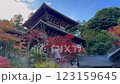 View from below of an old Japanese temple, with trees with red leaves and mist slowly rising 123159645