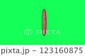 Slice sausage. Round slice of sausage salami isolated on green background. Ingredient to create sandwiches canape, snacks .Great for menu, label, product packaging, recipe. Close up view. 4k animation 123160875