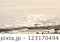 金色閃亮的波浪 123170494