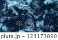 冬季森林中雪花緩慢飄落的動作 123173090