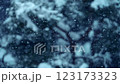 雪花飄落在森林裡，慢動作 123173323