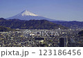 ＜静岡市＞富士山と静岡市街 123186456