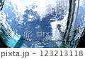 水槽をスイスイ泳ぐペンギンの群れを真下から見上げる 123213118
