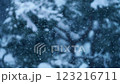雪花飄落在森林裡-慢動作 2 123216711