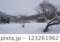 Heavy snow falling in the countryside 123261962