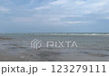 Sea waves on the sand beach. Beautiful sunny day view to summer 123279111