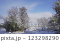 A sunny day amongst the snow 123298290