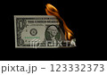 4K - Burning Dollar. Slow motion 123332373