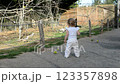 ЗАГРУЗИЛА Little girl plays with budgies that fly free 123357898