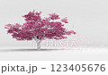 a tree on a white background with leaves falling and the tree swaying in the wind. High quality 4k footage 123405676