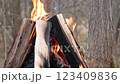 Bonfire in nature 123409836