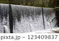 A small waterfall deep in the forest 123409837