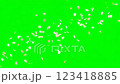 桜舞う1　クロマキー用 123418885