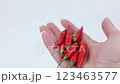 Close-up of hand holding red hot pepper on white background, Concept of spicy food, seasoning, Mexican cuisine. High quality 4k footage 123463577