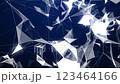 Plexus digital background with lines, dots, and triangles connected 123464166