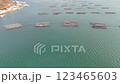 廣島縣吳市的牡蠣筏 123465603