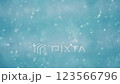 snow          123566796