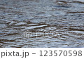水面 123570598