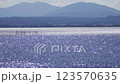 The surface of Lake Biwa in the afternoon with ripples sparkling 123570635