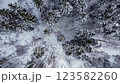 An aerial view of the snow-covered forest. Top view. 123582260