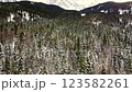 Aerial view of the snow-covered forest. 123582261