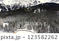 Aerial view of the snow-covered forest. 123582262