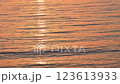 Ocean with waves illuminated by the setting sun 123613933