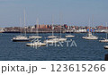 White sailboats anchored at Boston harbor 123615266
