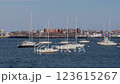 White sailboats anchored at Boston harbor 123615267