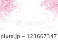 美しく華やかな満開の桜の花と花びら舞い散る春の白バック動画素材イラスト 123667347