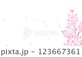 美しく華やかな満開の桜の花と花びら舞い散る春の白バック動画素材イラスト 123667361