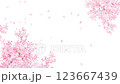 美しく華やかな満開の桜の花と花びら舞い散る春の白バック縦動画素材イラスト 123667439