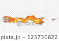 Real fire torch medium size looped and prekeyed 123730822