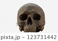 Spinning Skull Pre-Keyed a Loop 123731442