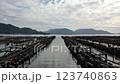 海に浮かぶ牡蠣 123740863