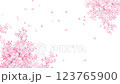 美しく華やかな満開の桜の花と花びら舞い散る春の白バック縦の動画素材イラスト 123765900