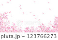 美しく華やかな満開の桜の花と花びら舞い散る春の白バック動画素材イラスト 123766273