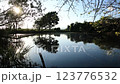 日が差し込む浮島沼釣り場公園の池 123776532