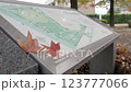 風に飛ばされる紅葉 123777066