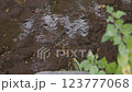 穏やかな川の流れ 123777068